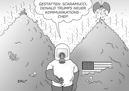 Scaramucci Scaramucci