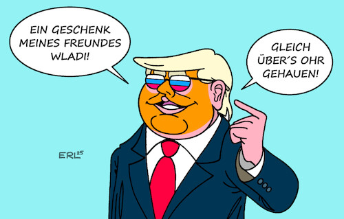 Trump blickt durch