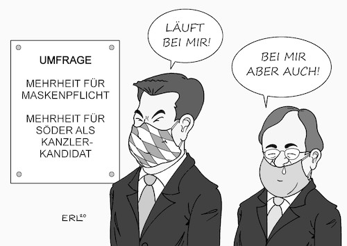 Umfragen