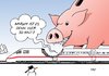 Cartoon: Bahn Sparzwang (small) by Erl tagged bahn,sparen,sparzwang,sparschwein,ausfälle,wetter,kälte,hitze,klimaanlage