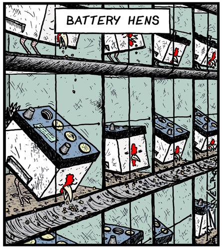 12 Volters 12 Volters