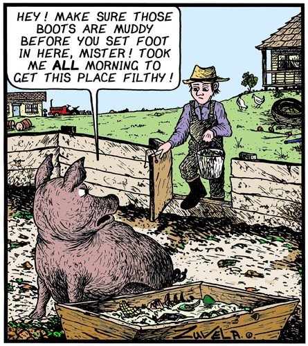 Down on the Farm Down on the Farm