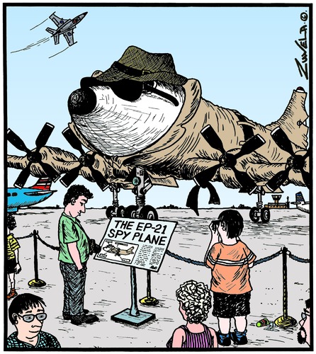 Fly fly Spy fly Fly fly Spy fly