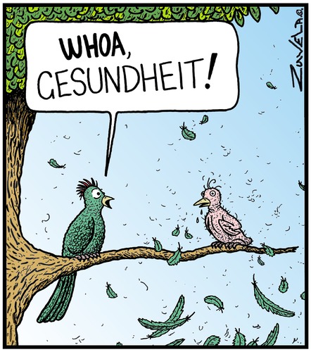 Gesundheit! Gesundheit!