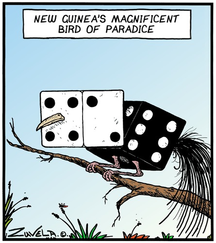 Roll em Roll em