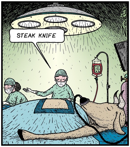 Slice slice slice Slice slice slice