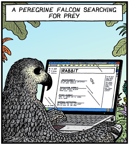 Surfing the Net Surfing the Net