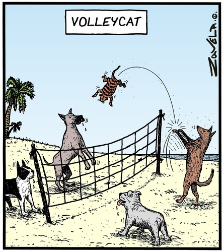 Thwack! Meowwww!