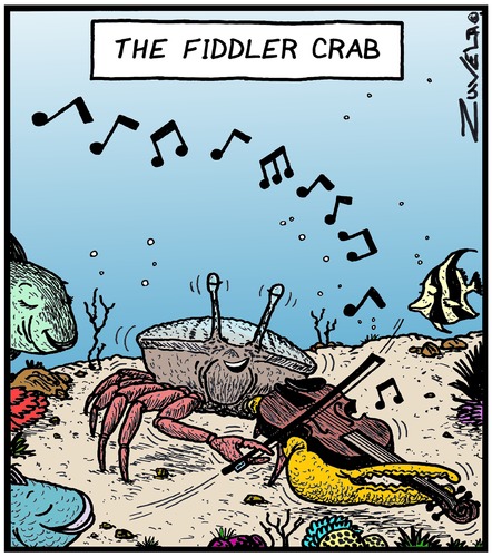Twang twang Twang twang