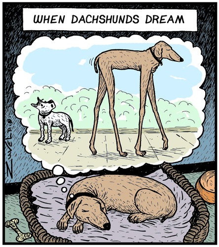 Zzzzzzzzzz Zzzzzzzzzz