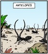 Ant Elopes