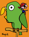 Cartoon: Pirates parrot (small) by Munguia tagged pirate,parrot,perico,pirata,munguia,costa,rica,birds,cartoon