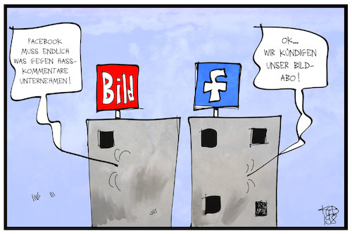 BILD und Facebook