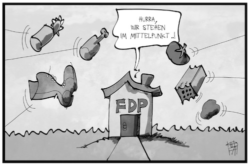 Die FDP im Mittelpunkt