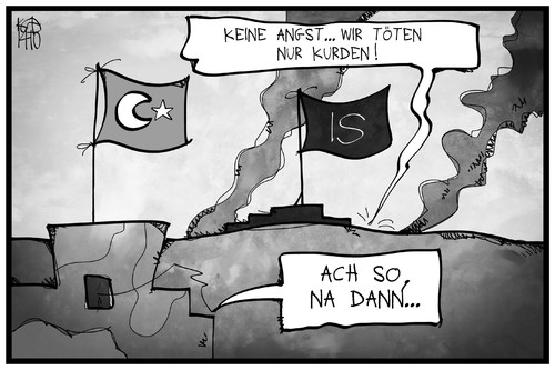 Die Türkei und der IS