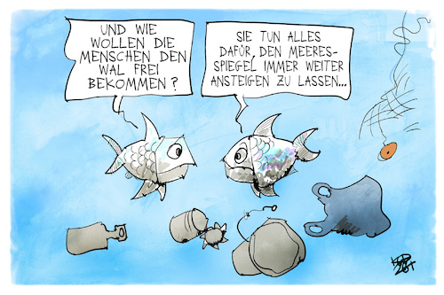 Mensch und Wal