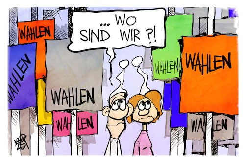 Wählerstimmung