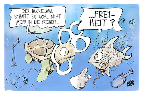 Cartoon: Walrettung (medium) by Kostas Koufogiorgos tagged karikatur,koufogiorgos,walrettung,wal,freiheit,müll,wasser,mehr,karikatur,koufogiorgos,walrettung,wal,freiheit,müll,wasser,mehr