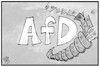 Cartoon: AfD-Spendenaffäre (small) by Kostas Koufogiorgos tagged karikatur,koufogiorgos,illustration,cartoon,afd,spendenaffäre,geld,füllhorn,partei,korruption,wahlkampf,hilfe