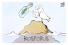 Cartoon: Allein am Bosporus (small) by Kostas Koufogiorgos tagged karikatur,koufogiorgos,bosporus,allein,friedenstaube,treffen,flaschenpost,botschaft