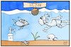 Cartoon: Aufgehobene Reisewarnung (small) by Kostas Koufogiorgos tagged karikatur,koufogiorgos,illustration,cartoon,reise,urlaub,reisewarnung,fisch,meer,corona,pandemie