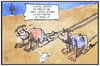 Cartoon: Bankrun (small) by Kostas Koufogiorgos tagged karikatur,koufogiorgos,illustration,cartoon,griechenland,geldautomat,bankrun,wüste,wirtschaft,politik,bankrott,grexit