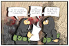 Cartoon: Erdrutsch Schweiz (small) by Kostas Koufogiorgos tagged karikatur,koufogiorgos,illustration,cartoon,erdrutsch,schweiz,terrorismus,terrorist,is,naturkatastrophe,berg,umwelt