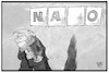 Cartoon: Nato-Gipfel (small) by Kostas Koufogiorgos tagged karikatur,koufogiorgos,illustration,cartoon,nato,gipfel,trump,usa,präsident,verteidigung,bündnis