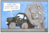 Cartoon: Tempolimit (small) by Kostas Koufogiorgos tagged karikatur,koufogiorgos,illustration,cartoon,brexit,tempolimit,fahren,auto,verkehr,mobilität,elefant