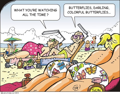 Butterflies Butterflies