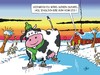 Cartoon: Sprichwörter (small) by JotKa tagged kuh eis winter schlittschuh tiere natur jahreszeiten kühe