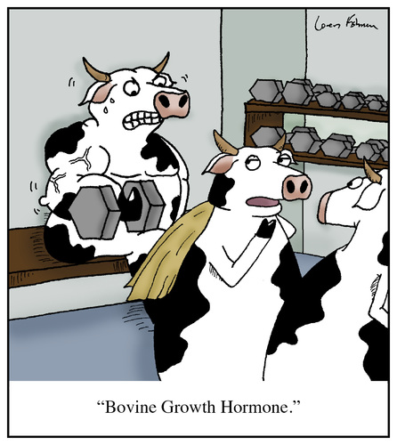 Cartoon: Bovine Growth Hormone (medium) by Humoresque tagged cow,cows,cattle,bgh,bovine,growth,hormone,hormones,dairy,farmer,farmers,farm,farms,additives,organic,organics,beef,meat,meats,milk,production,product,products,health,toxin,toxins,steroid,steroids,bodybuilder,bodybuilders,drug,drugs,monsanto