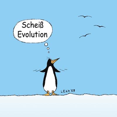 Cartoon: Scheiß Evolution (medium) by lexatoons tagged evolution,philosophie,pinguin,möwen,fliegen
