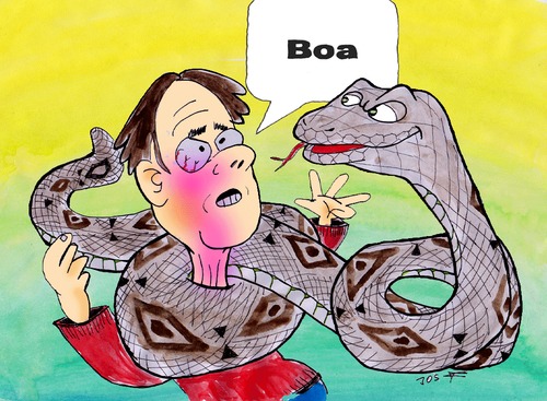 Cartoon: Boa 1 (medium) by Jos F tagged boa,python,snake