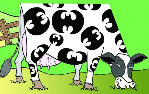 Cartoon: BATIVACA (medium) by Mario Almaraz tagged vaca,