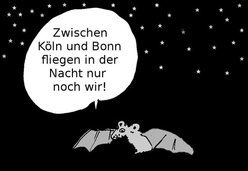 Cartoon: Wer in der Nacht fliegt (medium) by Marbez tagged nightbats,airbus,airfighter
