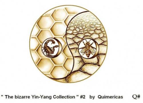 THE BIZARRE YIN YANG COLLECTION