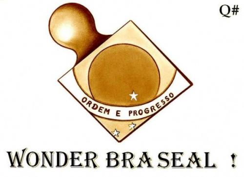 Cartoon: WONDER BRA SEAL (medium) by QUIM tagged brasil,wonderbra,seal,planet,breast,illustration,wonderbra,brasillien,südamerika,brüste,busen,seal