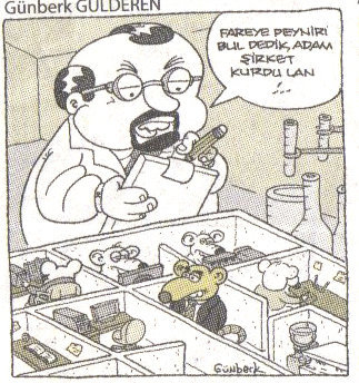 Cartoon: labirent ve fare (medium) by gunberk tagged mouse,cheese,fare