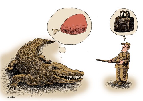 Cartoon: different interests (medium) by Medi Belortaja tagged hunter,interest,meat,bags,bag,crocodile,animals,food