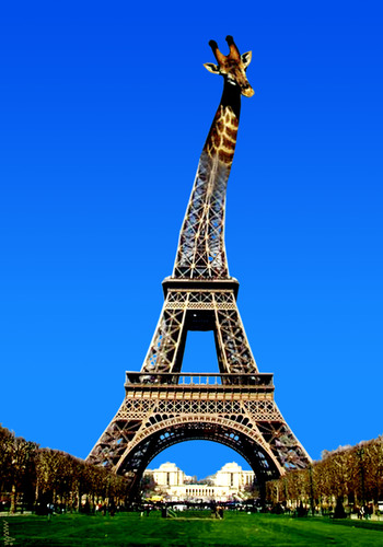 Cartoon: giraffeiffel (medium) by Medi Belortaja tagged giraffe,eiffel,tour,paris,france