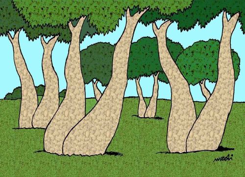 Cartoon: humor in the forest (medium) by Medi Belortaja tagged erotic,feet,saddle,legs,trees,forest,humor