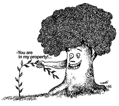 Cartoon: master tree (medium) by Medi Belortaja tagged violence,sapling,trees,tree,master,property