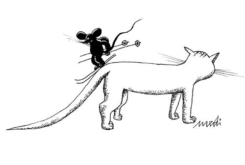 Cartoon: ready for skiing (medium) by Medi Belortaja tagged humor,cat,mouse,skiing,tail