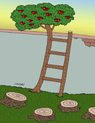 Cartoon: ladders (medium) by Medi Belortaja tagged ladders,timber,wall,fruits,trees