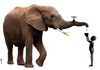 Cartoon: elephant s tap (small) by Medi Belortaja tagged elephant,tap,african,africa,children,water,thirst,environment