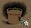 Cartoon: floral efforts (small) by Medi Belortaja tagged floral,efforts,flower,flowerpot