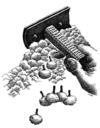Cartoon: shaving (small) by Medi Belortaja tagged forest,tree,shave,ecology,nature