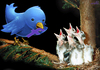 Cartoon: internet food (small) by Medi Belortaja tagged internet,food,facebook,twitter,birds,nest