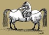 Cartoon: anarchist (small) by Medi Belortaja tagged anarchist horse head